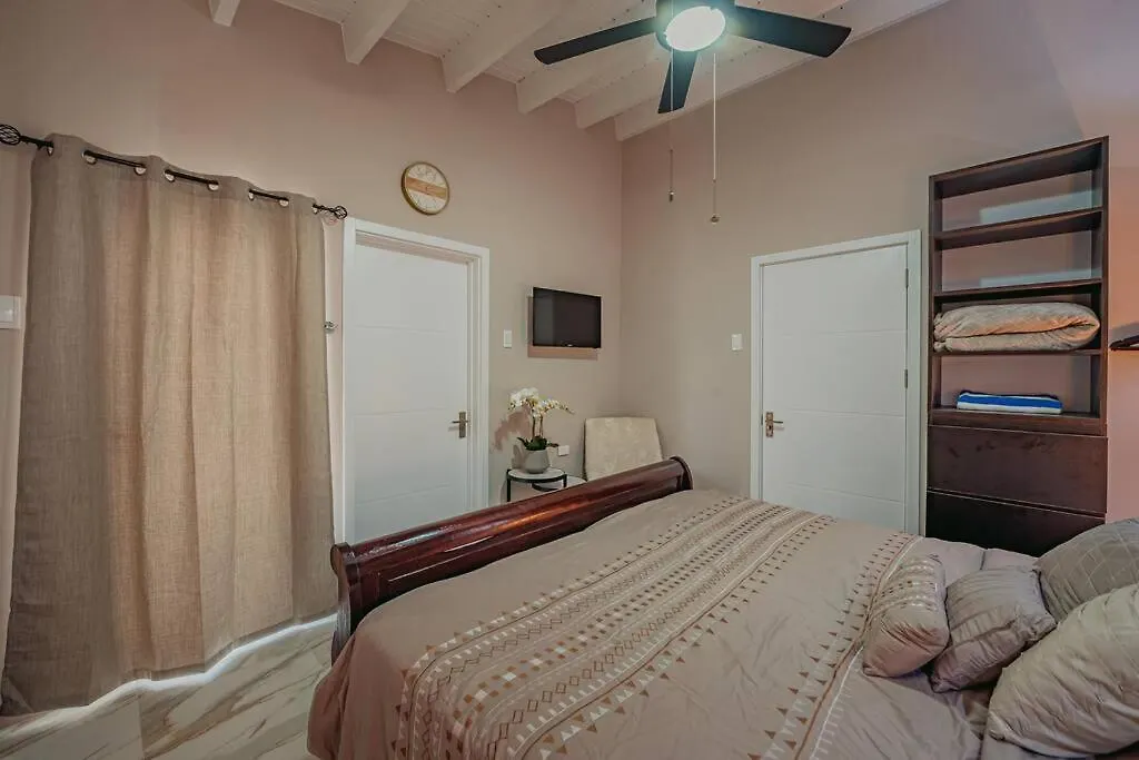 New! Villa De Leon, Suitable For 14 Persons. 5 Bedrooms, 5 Bathrooms Palm Beach Aruba
